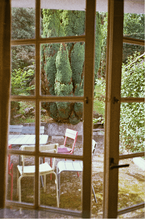 garden